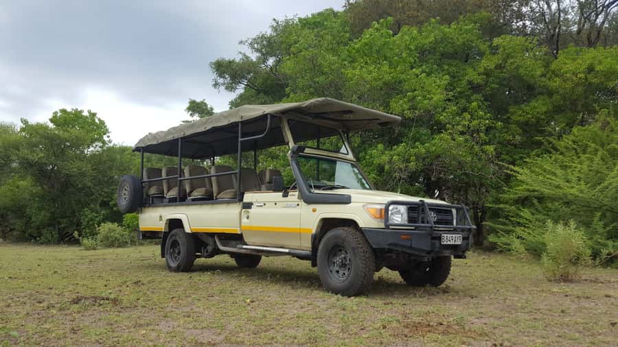 Victoria Falls: Chobe National Park Day Trip with Lunch - What the $170 price really covers