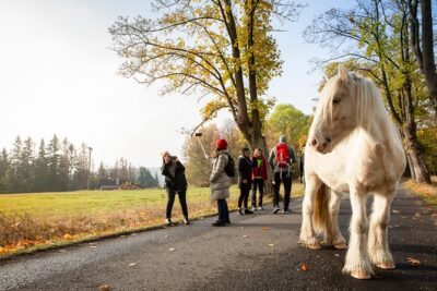VIP Best Reviews: Bohemian & Saxon Switzerland from Prague