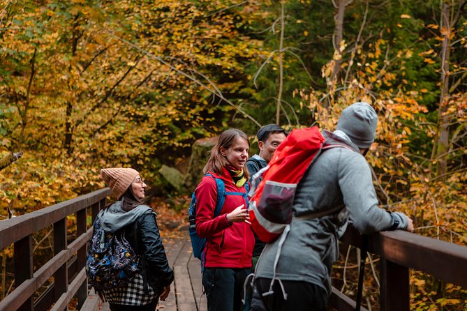 VIP Best Reviews: Bohemian & Saxon Switzerland from Prague - Lunch in Mezní Louka