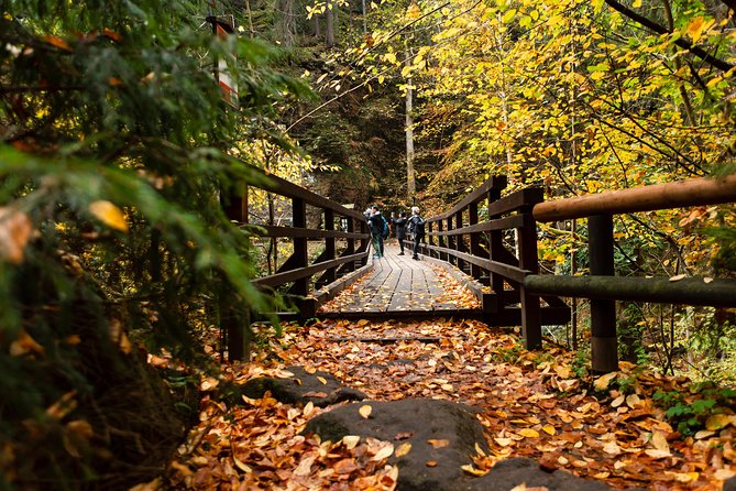 VIP Best Reviews: Bohemian & Saxon Switzerland from Prague - Tisá Rocks in the winter season
