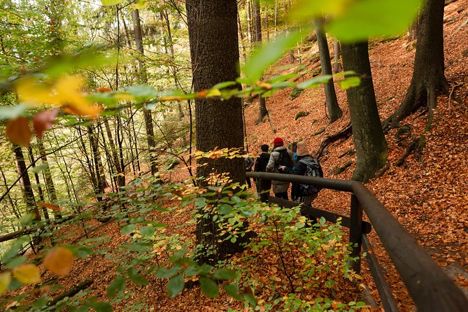 VIP Best Reviews: Bohemian & Saxon Switzerland from Prague - Shared tour or private tour?