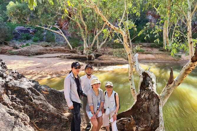 West MacDonnell Ranges Day Trip from Alice Springs - The Ochre Pits and Arrernte culture