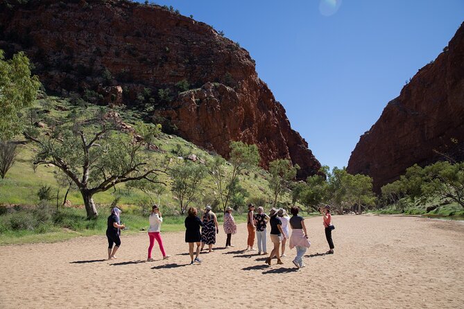 West MacDonnell Ranges & Standley Chasm Day Trip from Alice Springs - Ellery Creek Big Hole and the swimming question