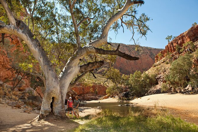 West MacDonnell Ranges & Standley Chasm Day Trip from Alice Springs - Standley Chasm and the meaning of Angkerle Atwatye