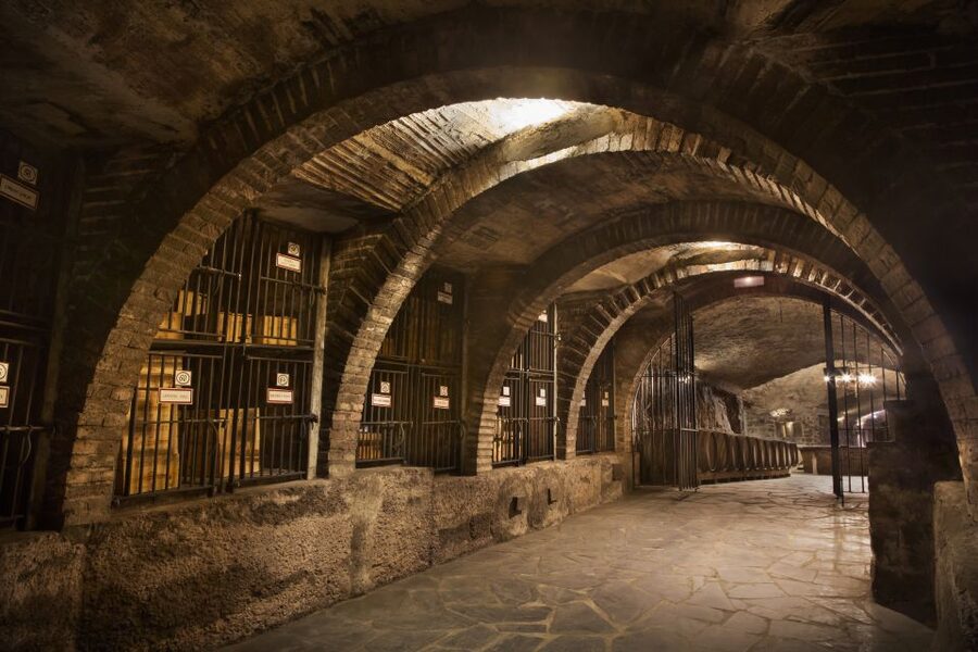 Wine Tour: 2 wineries in La Rioja - Leaving Logroño or Pamplona
