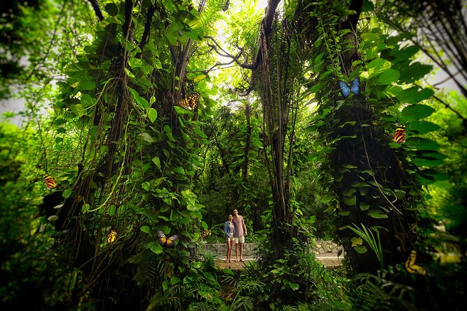 Xcaret Park Day Trip, transportation and Cultural Night Show - Underground rivers, beaches, and natural pools