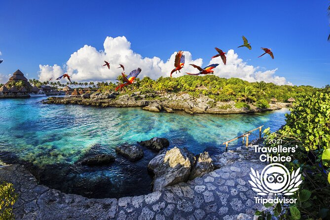 Xcaret Park Day Trip, transportation and Cultural Night Show - Wildlife, plants, and the park’s quieter side