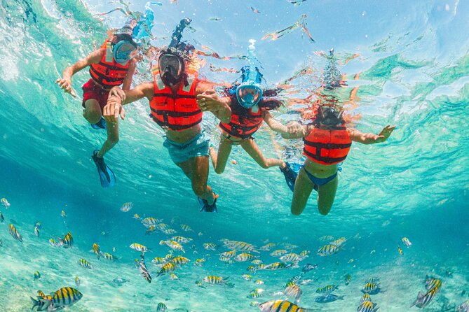 Xcaret Park Day Trip, transportation and Cultural Night Show - Performances throughout the day