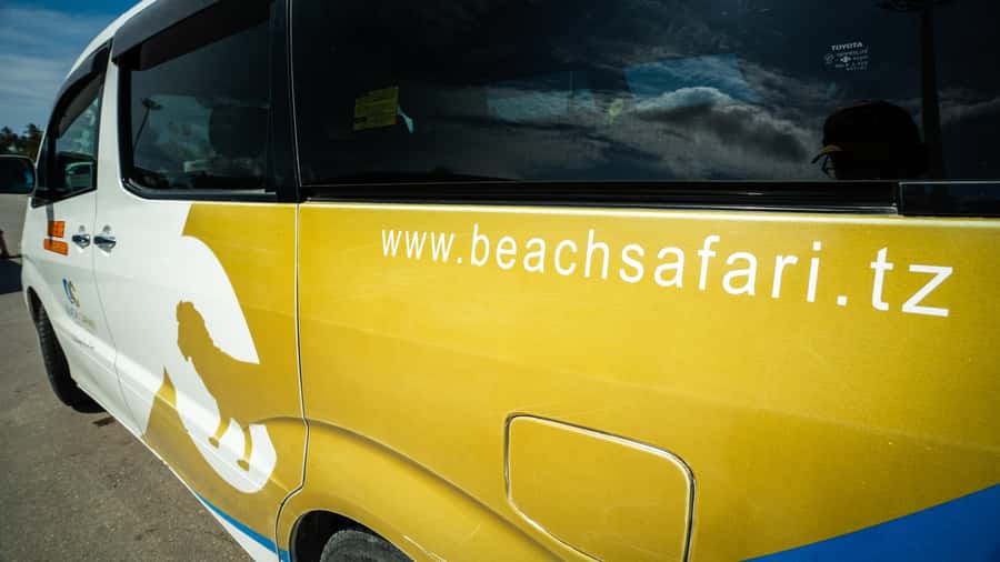 Zanzibar: Nungwi Turtle Aquarium Guided Half-Day Trip - The alternative Nungwi Zoo option