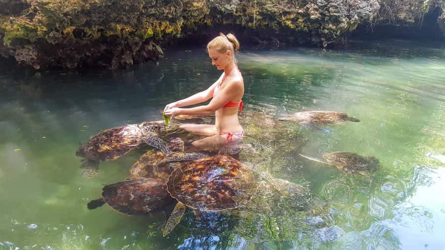 Zanzibar: Nungwi Turtle Aquarium Guided Half-Day Trip - What the turtle conservation visit is really like