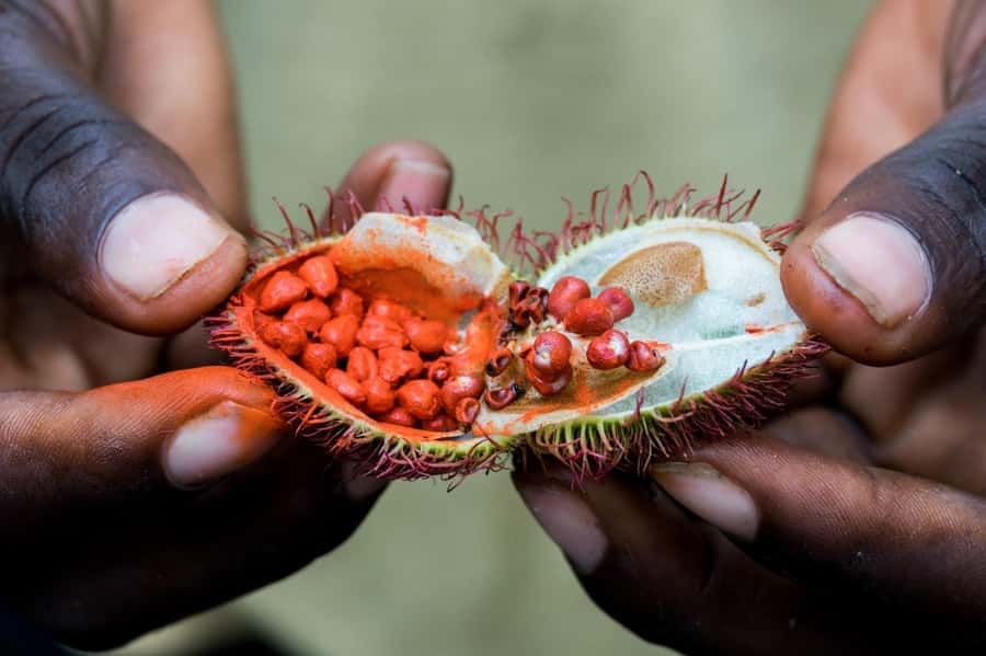 Zanzibar: Stone Town, Spice Tour, Prison Island with Lunch - How the day feels from pickup to return