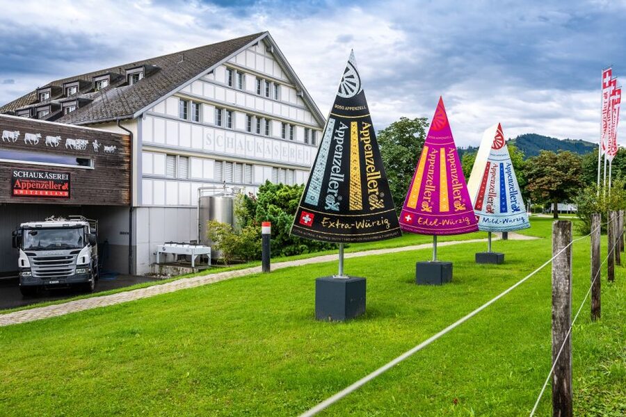 Zurich: Appenzell Day Trip with Farm Visit & Cheese Tasting - A Swiss farm before the cheese factory