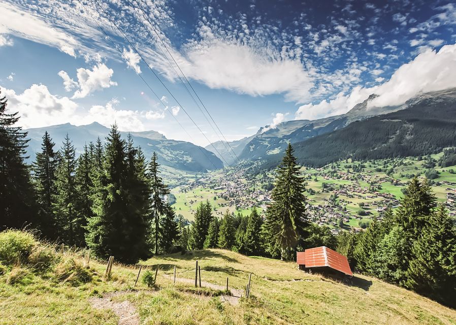 Zurich: Grindelwald, Interlaken & Lauterbrunnen Day Trip - Food, costs, and the real value of $140